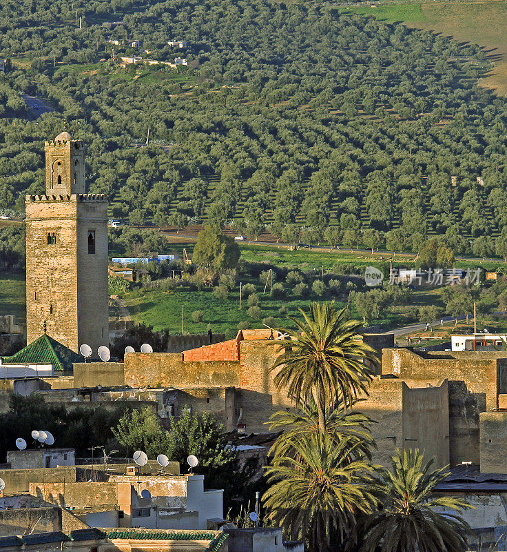 Fes el Bali，非斯的麦地那